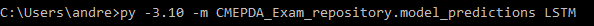 Esempio di utilizzo dello script da terminale.