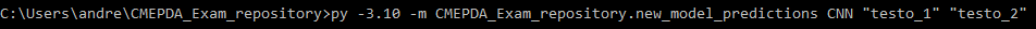 Esempio di utilizzo dello script da terminale.
